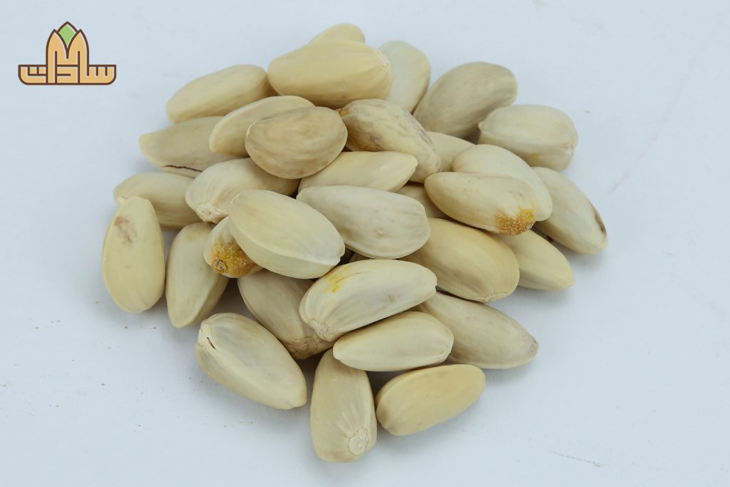 انواع پستۀ دهان‌بست